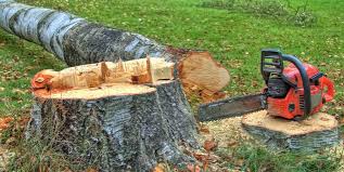 Best Leaf Removal  in Opelika, AL