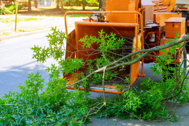 Best Utility Line Clearance  in Opelika, AL