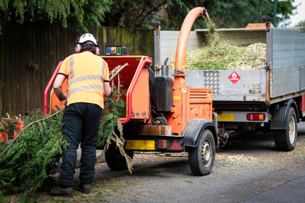 Best Tree Mulching  in Opelika, AL