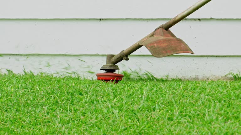 Best Tree Cabling and Bracing  in Opelika, AL