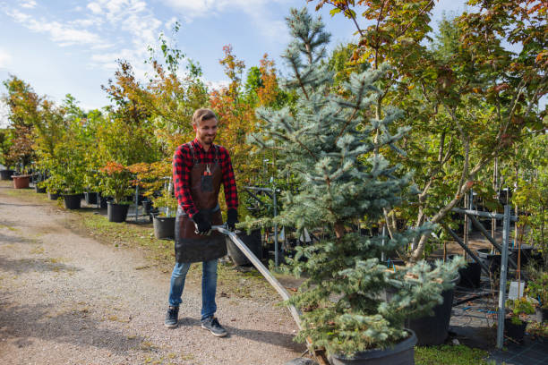 Best Tree Preservation Services  in Opelika, AL