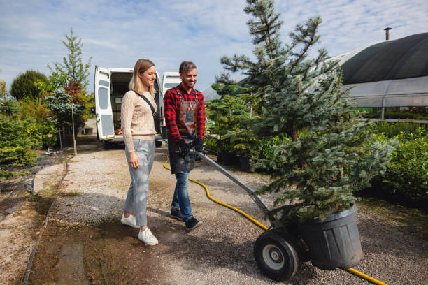 Best Lawn Dethatching  in Opelika, AL